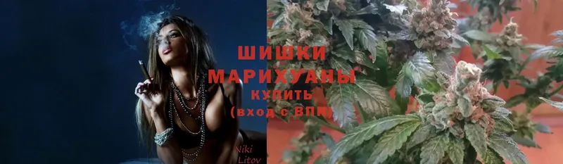 Шишки марихуана Ganja  Болохово 